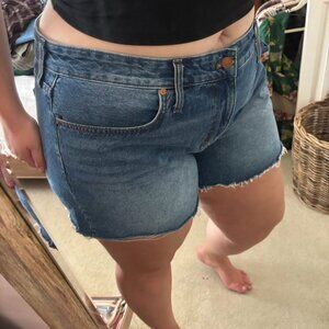 Madewell Raw Hem Denim Shorts - Size 18W